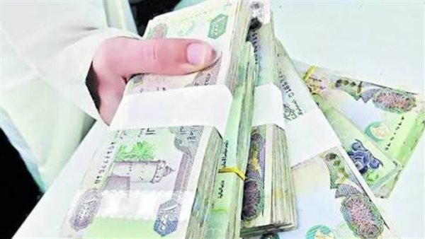 خريطة أسعار الصرف: الدرهم الإماراتي يواصل ثباته أمام الجنيه المصري اليوم