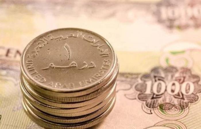 آخر تطورات سعر الدرهم الإماراتي أمام الجنيه في البنوك المصرية