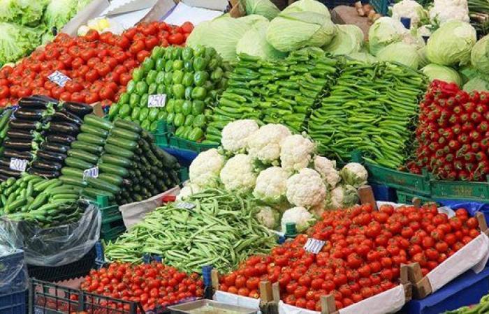 ارتفاع أسعار الخيار وانخفاض سعر الفلفل الألوان بين أسعار الخضروات اليوم الاثنين ٢٧ يوليو ٢٠٢٦