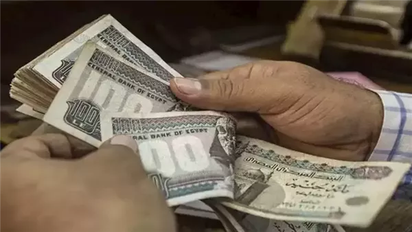 سؤال برلماني بشأن تعطل صرف المعاشات ومطالبات بتعويض المتضررين