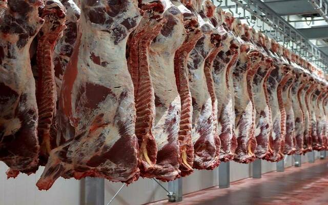 تراجع جديد في أسعار الدواجن واللحوم بمصر اليوم الاثنين تعرف على قائمة الأسعار المحدثة