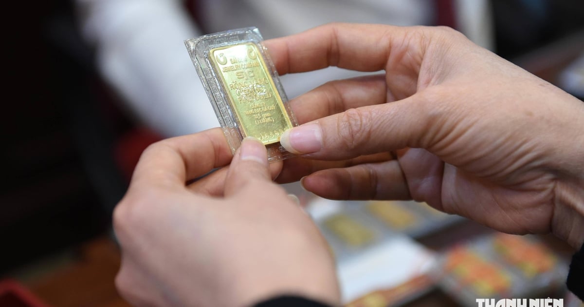 أسعار الذهب تسجل ارتفاعا اليوم 11 أغسطس 2026 وتتجاوز توقعات المستثمرين في جميع القطاعات