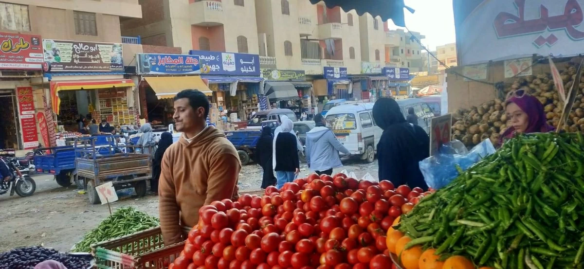 متحدث الزراعة يعلن عن خطة توسيع منافذ البيع في المدن الجديدة وتوفير المعروض لتلبية احتياجات السوق