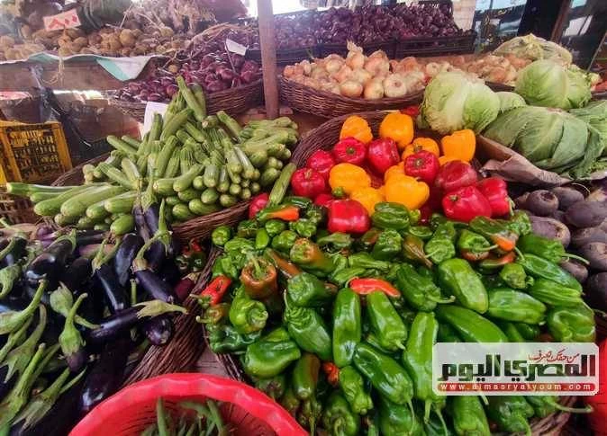 أسعار التفاح البلدي اليوم الثلاثاء تواصل استقرارها عند 70 جنيهًا في الأسواق