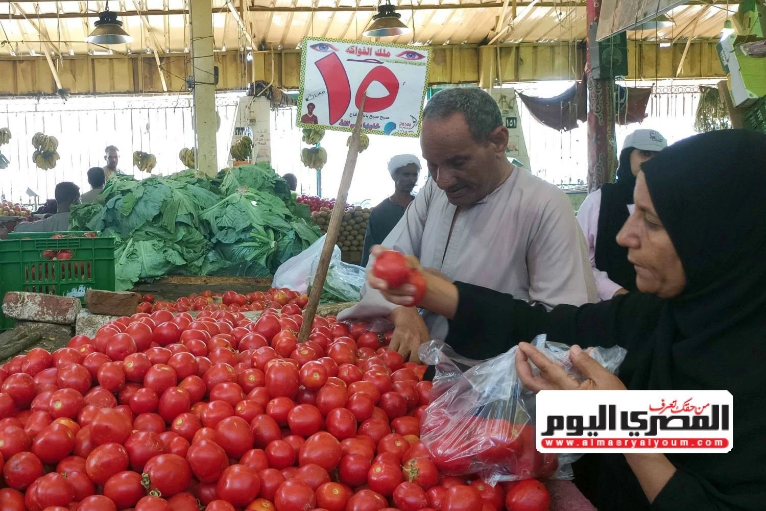 أسعار الخضروات اليوم الأحد في أسواق مطروح تتراوح بين 10 جنيهات للطماطم وأكثر