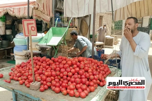 شعبة الخضار تكشف عن موعد ارتفاع أسعار الطماطم إلى 50 جنيهًا