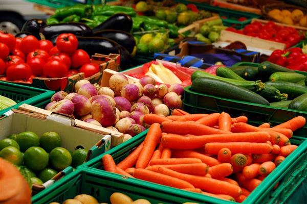 أسعار الخضروات اليوم الثلاثاء 11 أغسطس 2026 في سوق العبور وشهدت انخفاضا في بعض الأنواع