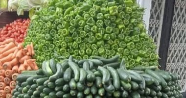 أسعار الخضروات في كفر الشيخ اليوم السبت جنيهات الطماطم بـ 12 والخيار بـ 20