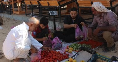 عربات نقل تتوجه من المزرعة إلى سوق الأربعاء بمدينة السلام لنقل خير سيناء