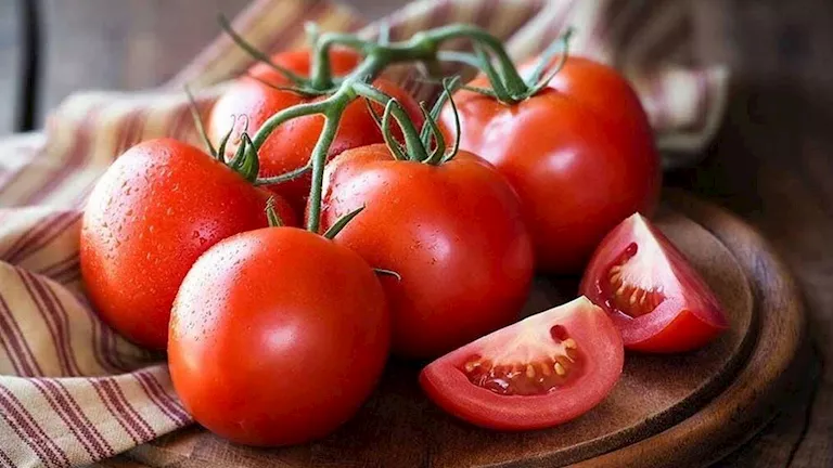 95 من بذور الخضر مستوردة وخطة لتوطين التقاوي لتعزيز الأمن الغذائي الزراعي