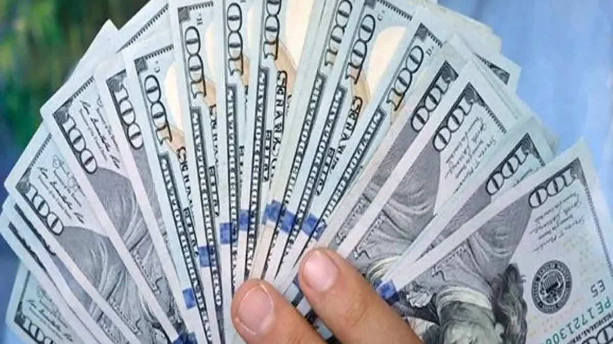 سعر الدولار اليوم السبت 29 أغسطس 2026 واستقرار الصرف في البنوك