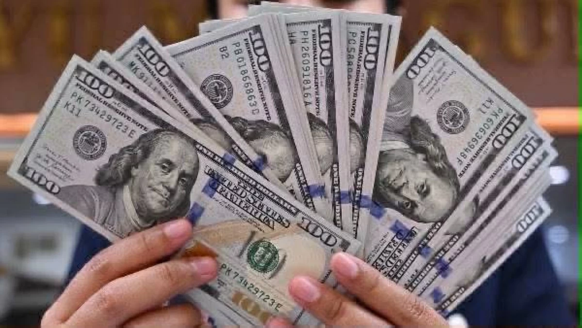 سعر الدولار في مصر اليوم الثلاثاء 11 أغسطس 2026..الجنيه يتراجع مجدداً