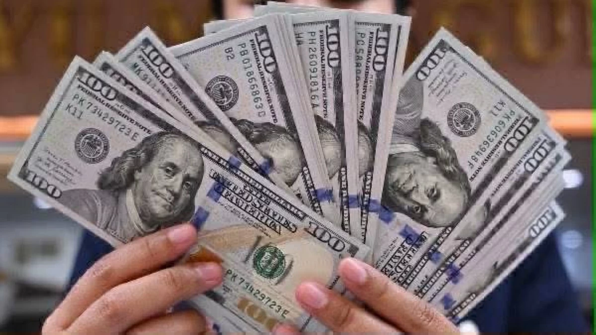 سعر الدولار اليوم في مصر الأربعاء 12 أغسطس 2026