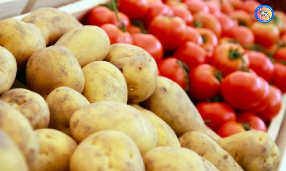 فاتورة استيراد البطاطا العراقية تتجاوز 52 مليون دولار في 2025 حسب إهيب