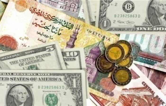 بالبلدي : أسعار العملات مقابل الجنيه المصري اليوم.. تحديث جديد للدولار واليورو والدينار الكويتي في البنك المركزي