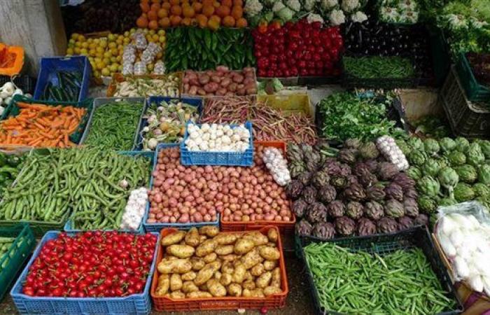 سعر الخضار اليوم يشهد انخفاض سعر الليمون 10 جنيهات وارتفاع 7 أصناف منها البطاطس