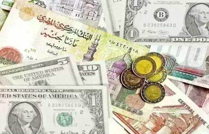 أسعار العملات الأجنبية اليوم الثلاثاء 4 أغسطس 2026.. آخر تحديث بالبنوك