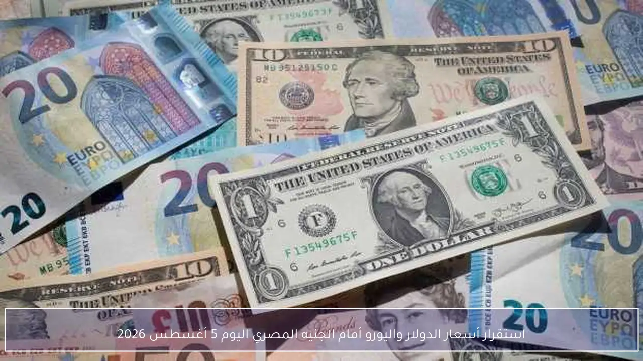 تحديث لحظي لأسعار الدولار واليورو أمام الجنيه المصري اليوم 5 أغسطس 2026 ومسار الاستقرار بالسوق