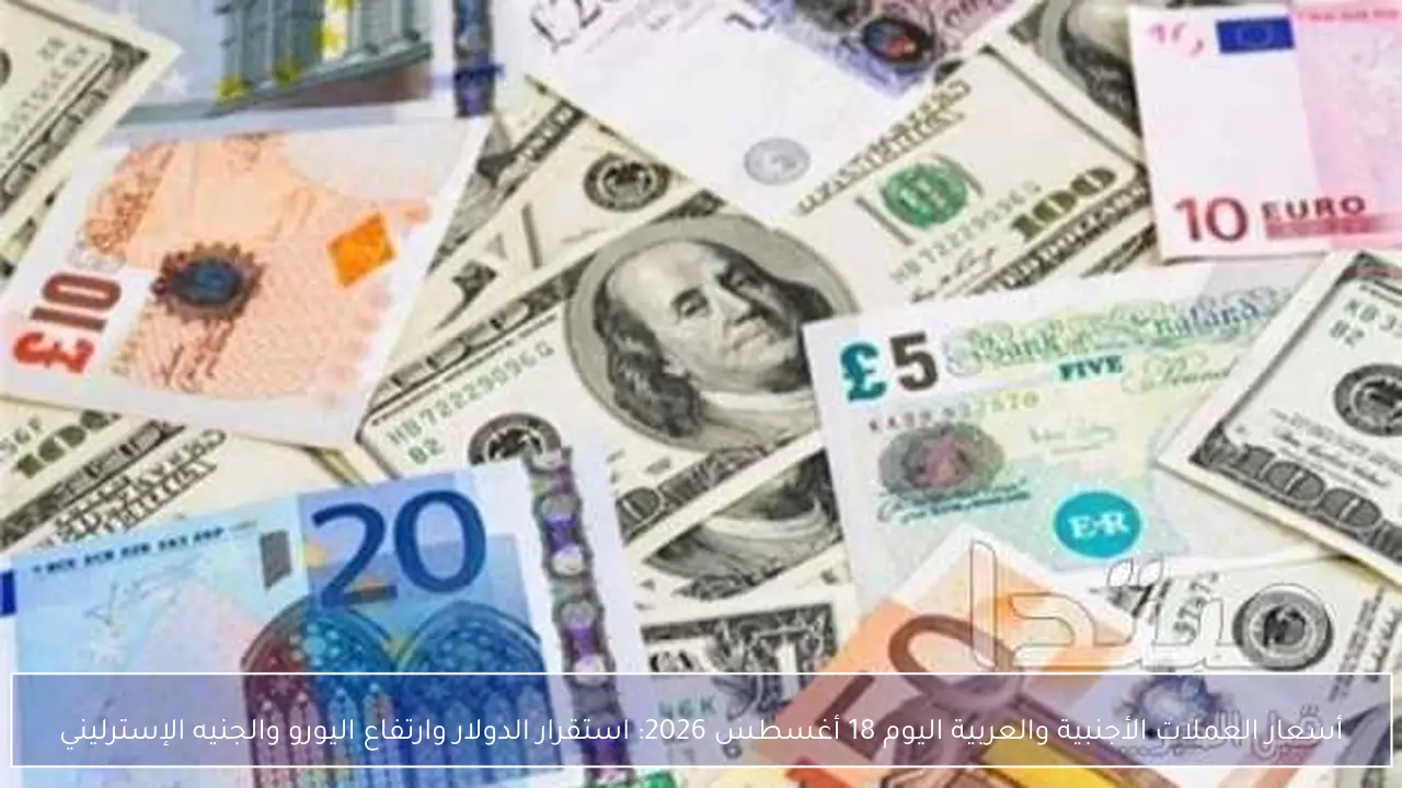 أسعار العملات الأجنبية والعربية اليوم 18 أغسطس 2026: استقرار الدولار وارتفاع اليورو والجنيه الإسترليني