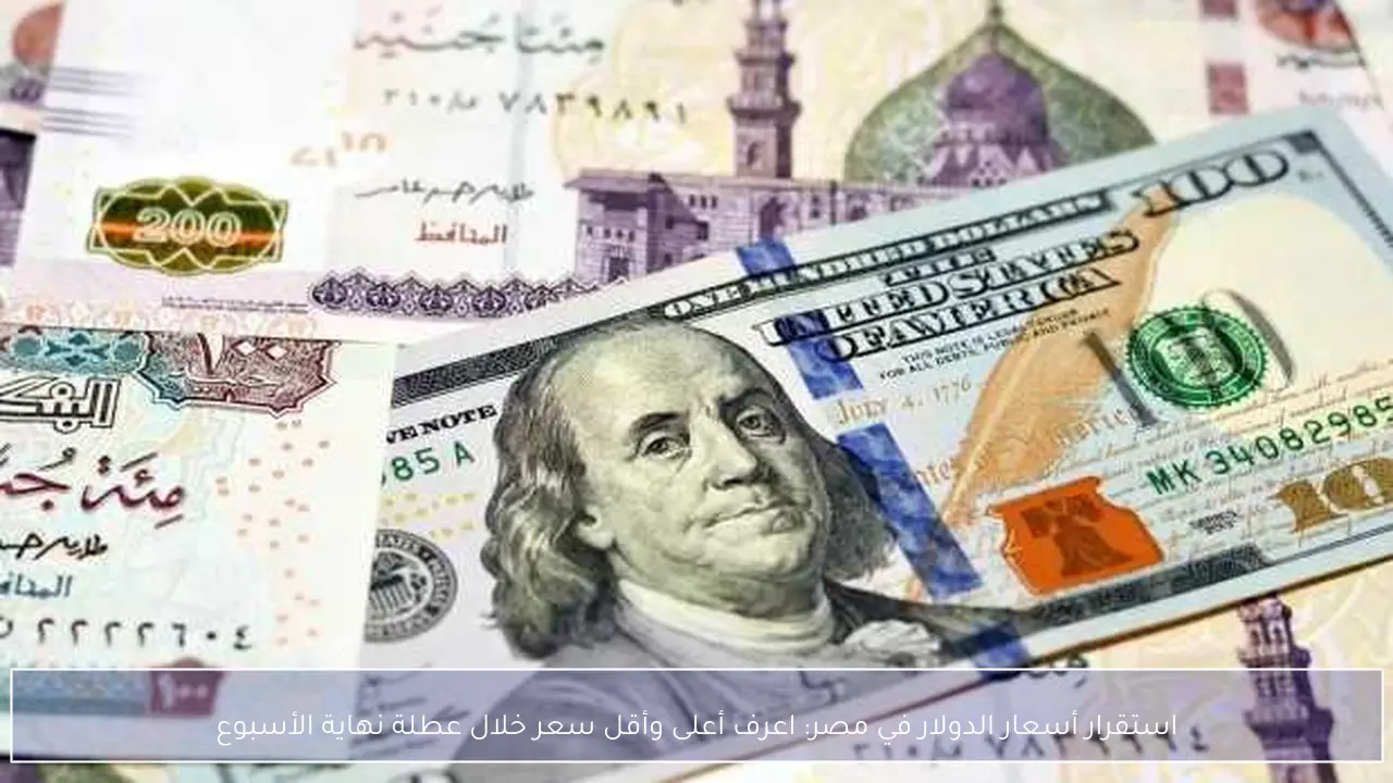 استقرار أسعار الدولار في مصر: اعرف أعلى وأقل سعر خلال عطلة نهاية الأسبوع