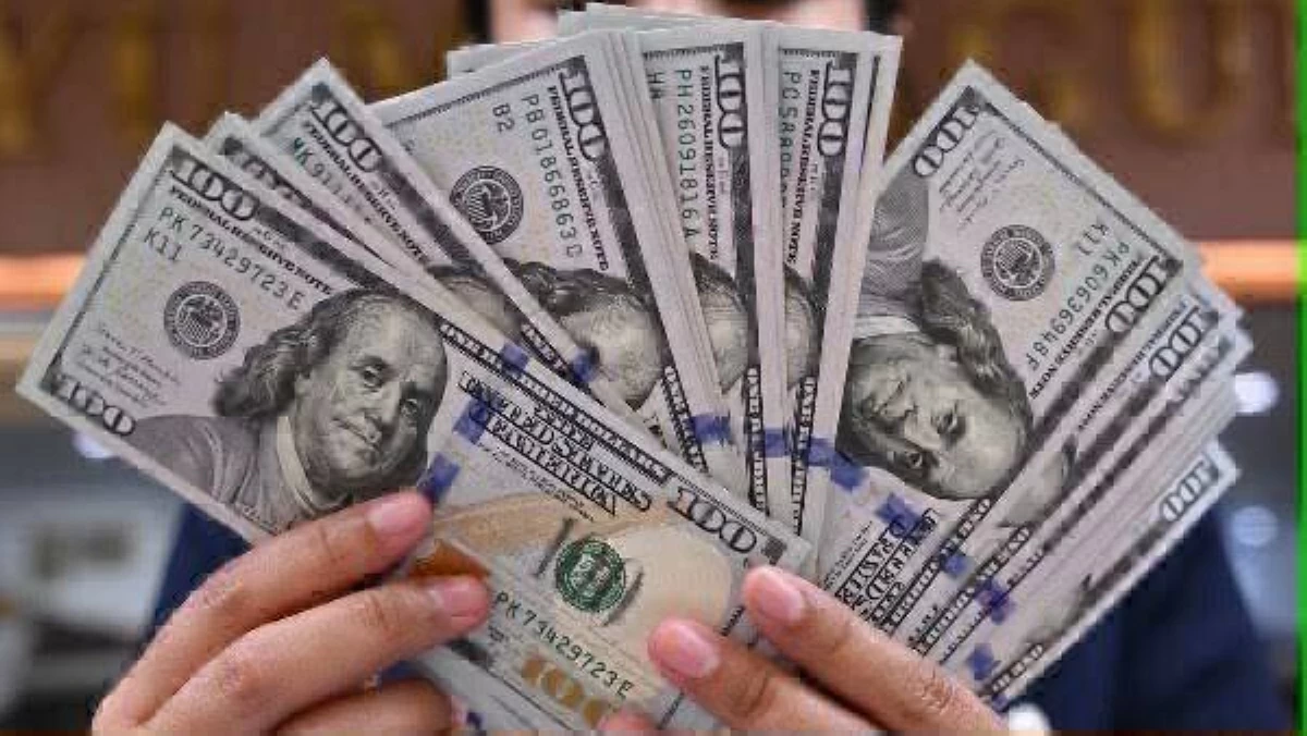 سعر الدولار في مصر الثلاثاء 1 سبتمبر 2026..كم سجل الجنيه؟